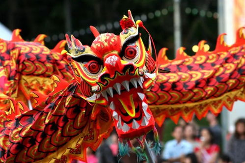 生肖龙：祥瑞还是倒霉？