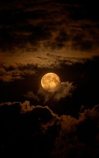 月圆之夜，一场浪漫的邂逅