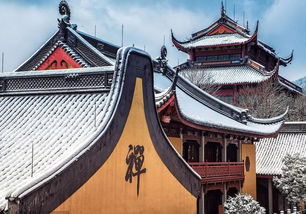 四、情感加持：为什么我们要逃票？