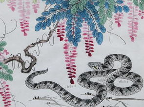 属蛇女性格独特，为何在喜欢的人面前总是选择躲藏？