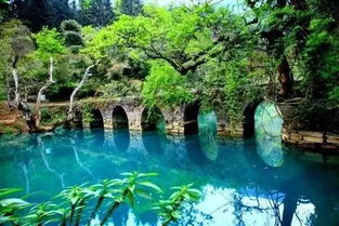 到底是65元还是110元？令人头秃的价格之谜