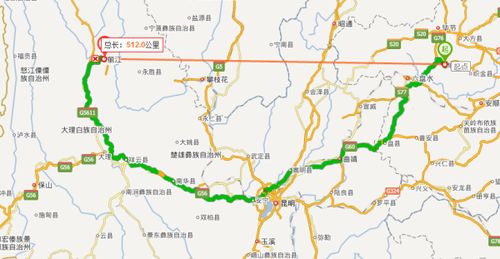 那个该死的下午：丽江客运站的魔幻现实