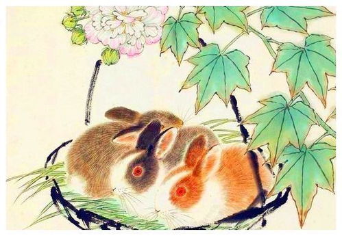 生肖兔的晚年：一场充满戏剧性的生存游戏