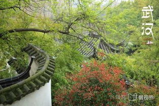 三、 进入景区——鹅池乱入版画卷