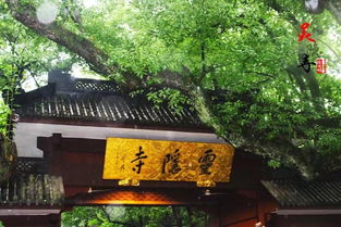 南京必游景点推荐