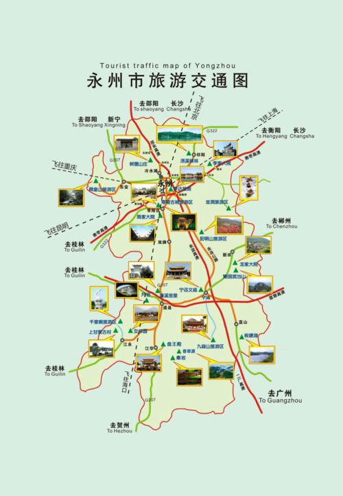 二、 交通运输攻略——错峰出行的奥秘