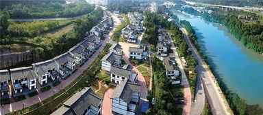 文化？就这？就这？