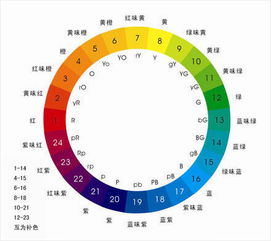 黄色对应什么情绪？七种颜色分别对应哪些情绪？