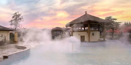 汤山其他选择：慎重考虑再决定