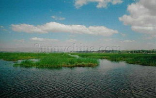 草海威宁草海,威宁草海风水布局