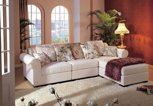 客厅壁纸风水讲究：朝向决定颜色