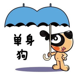 单身狗是怎么炼成的