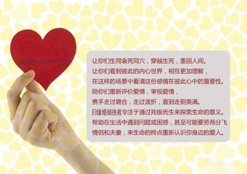 4. 情绪管理靠撸猫？