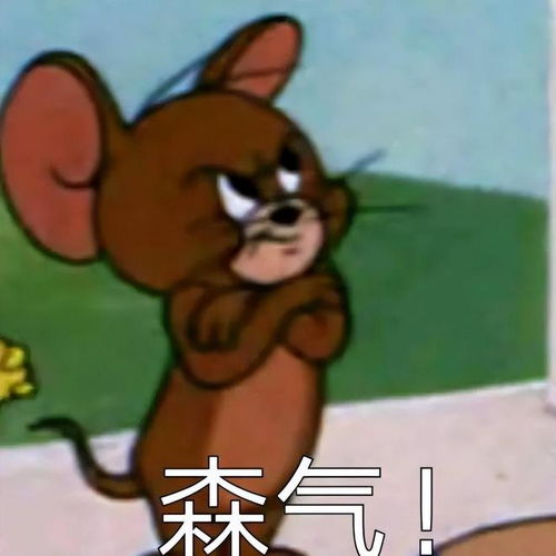 哪个星座的人最容易生闷气，一不高兴就爱冷处理，不搭理人呢？