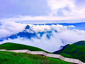 少室山：一个被驴踢过的疯批