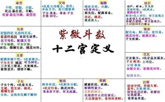 主星与辅星：驾驭人生的力量