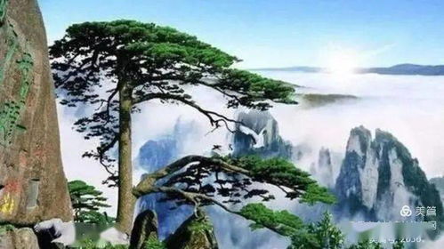 黄山五日游攻略：懒人放松游，徽州美景尽收眼底（别问我为什么这么啰嗦！）