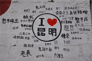 石家庄那个破花廊，差点让我破产！