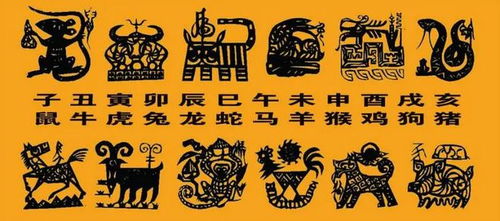 十二生肖的字怎么写，分别代表什么含义？