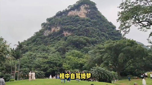 路途中的小插曲