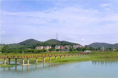 惠州横河镇带娃暴走实录：一场充满尖叫与蚊虫的奇幻漂流