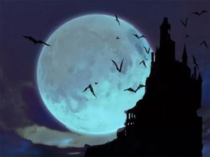 属猪的朋友要注意啦