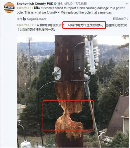 八字日柱为什么是空的，日柱死木如何改写为吉祥八字？
