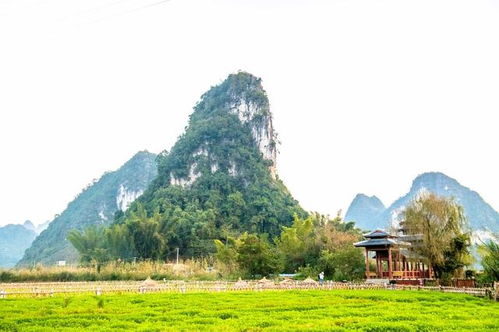 风景美如画，还是乱如麻？深度解析二郎山