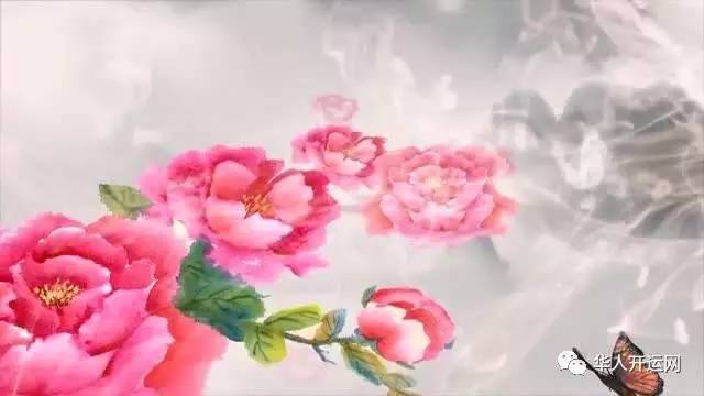一、家珍：那朵被碾碎的玫瑰