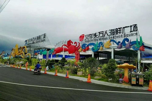 较深度体验：探寻较深圳的老味道