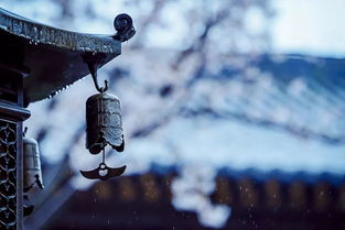 那东西夜晚的风水局与讨债鬼