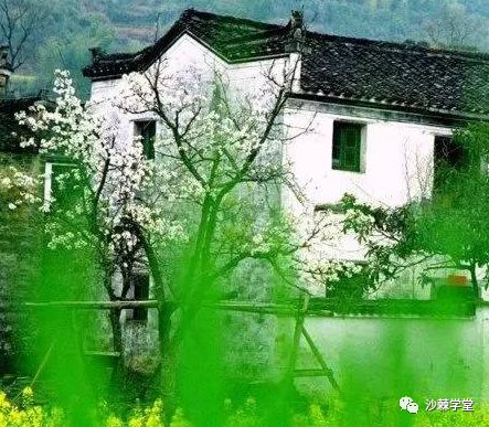 江南春温泉度虚假酒店