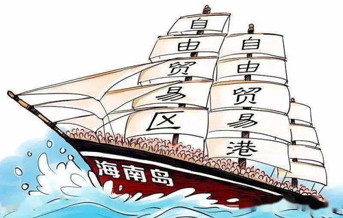 国际经验的借鉴与水土不服的风险