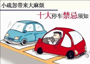 一、华容停车区的独特魅力
