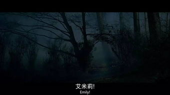 星座视角下的心理陷阱：为何清醒反而致命？