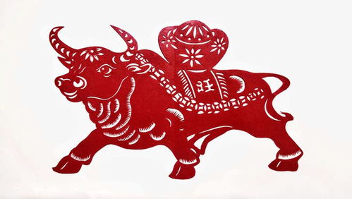 一月份：崭新年的启动
