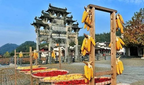 三天两夜玩转泗县：不走寻常路