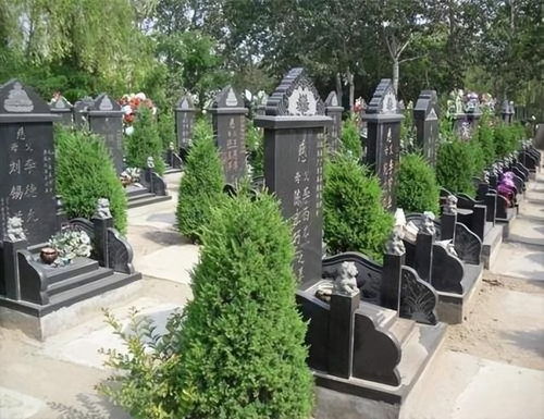 农村kan墓地有什么讲究,农村kan墓地有什么讲究