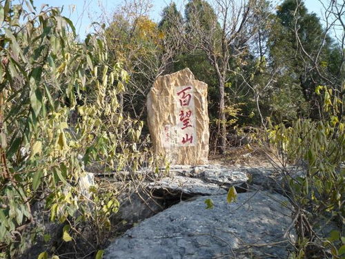 震惊！百望山隐藏的惊天秘密：6块钱门票背后的黑暗交易