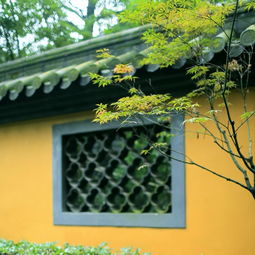 灵隐寺：禅意与历史的交融