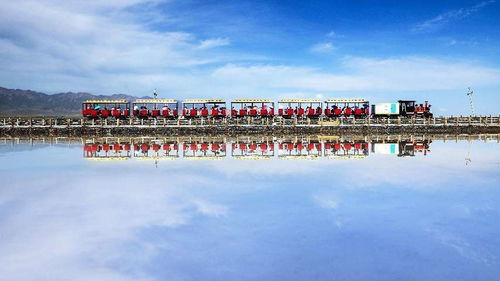 DIY 盐雕：发挥你的想象力