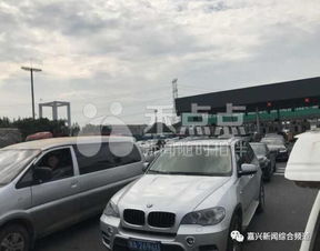 挖掘机来了！这一些宝藏你绝对没见过