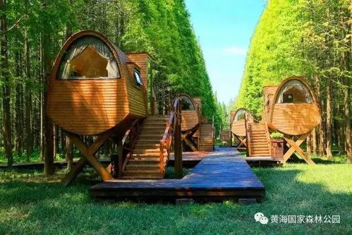 吃喝玩乐一条龙？并没有