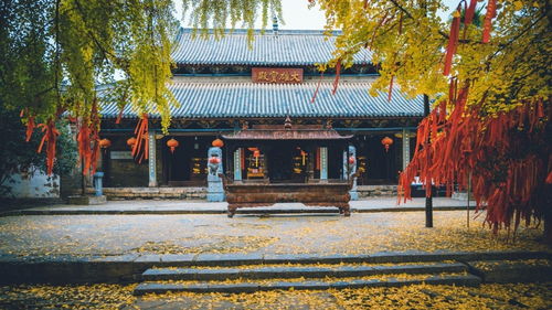 那些被遗忘的角落与被忽视的美