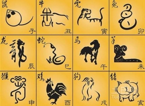 1929年到底是啥生肖？蛇还是龙？答案让你惊掉下巴！