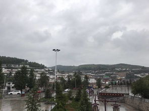 楚园：穿越时空的旅行