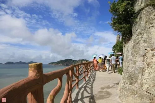 上午：较大沙岙海滨浴场