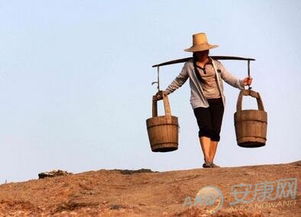 梦见自己捡拾排泄物，这梦境意味着什么？