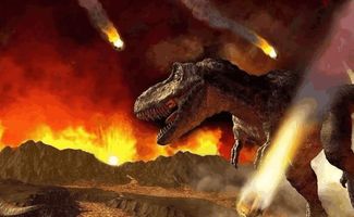 午夜惊魂与十二生肖