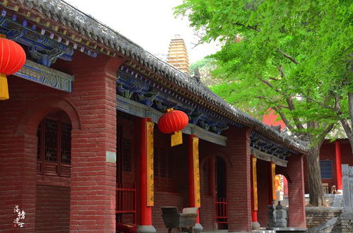 周同学带你走进古建世界